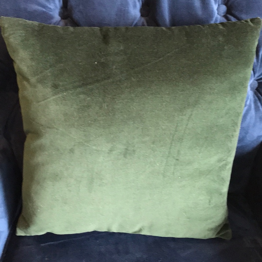 World Market green velvet pillow